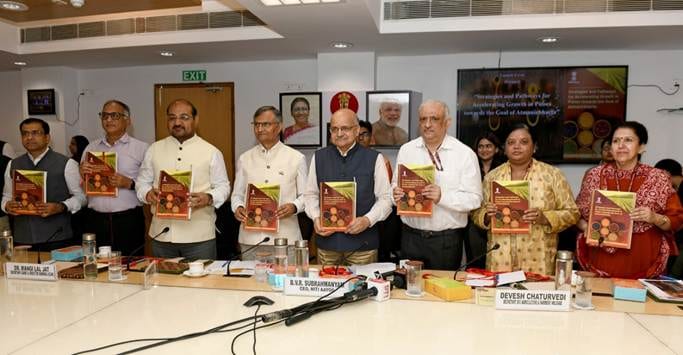 Pulses Mission at One: No Research Project Approved Yet